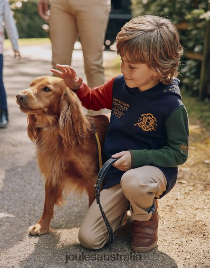 Joules Apparel Boys Unisex Burghley Hooded Sweatshirt 2-12 Years NVVNL316 FRENCH NAVY